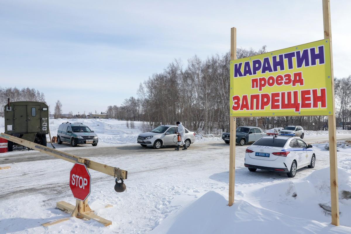 Режим ЧС в Новосибирской области из-за вспышек бешенства и пастереллеза. Фото: Кирилл Кухмарь / ТАСС