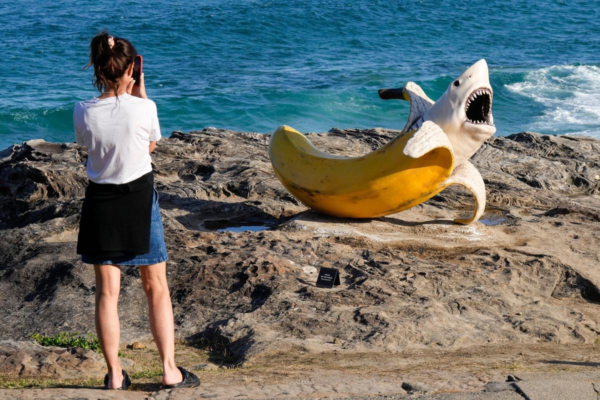 Австралия. Фото: AP / TASS