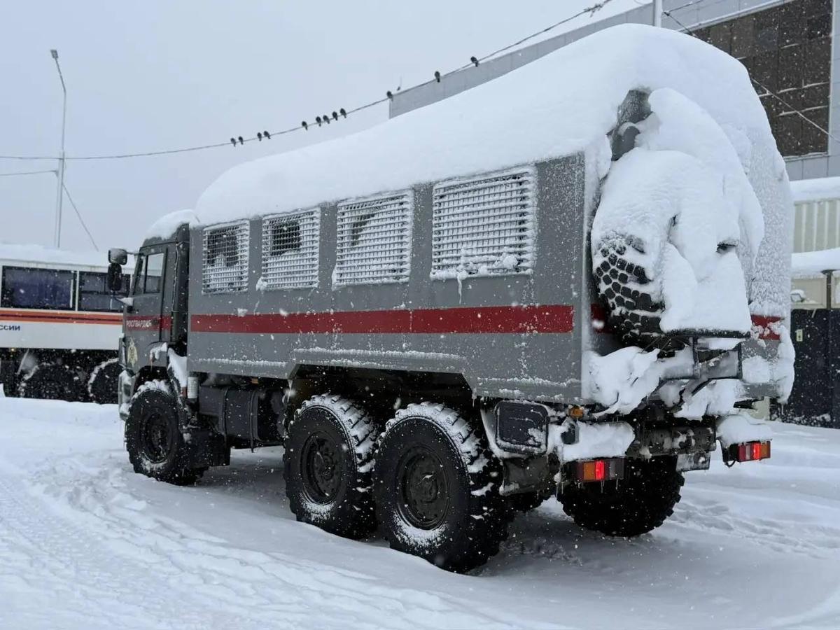 Фото из телеграм-канала Камчатского края