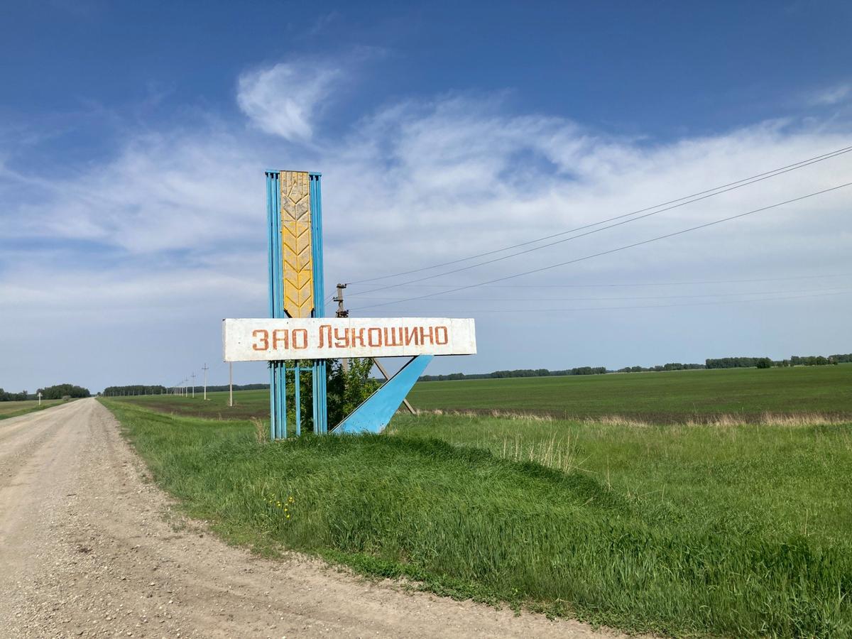 Фермерское хозяйство «Лукошино». Фото: Ирина Тумакова / «Новая газета»