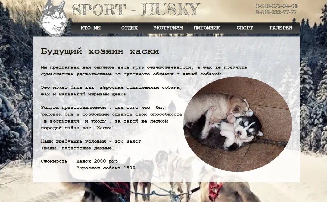 Скриншот с сайта Sport-Husky