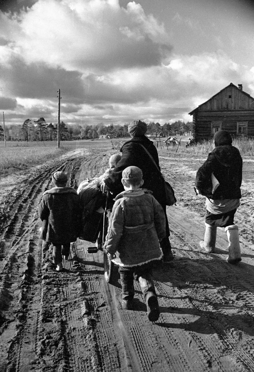 Семья партизана возвращается из лесов. Фото: РИА Новости