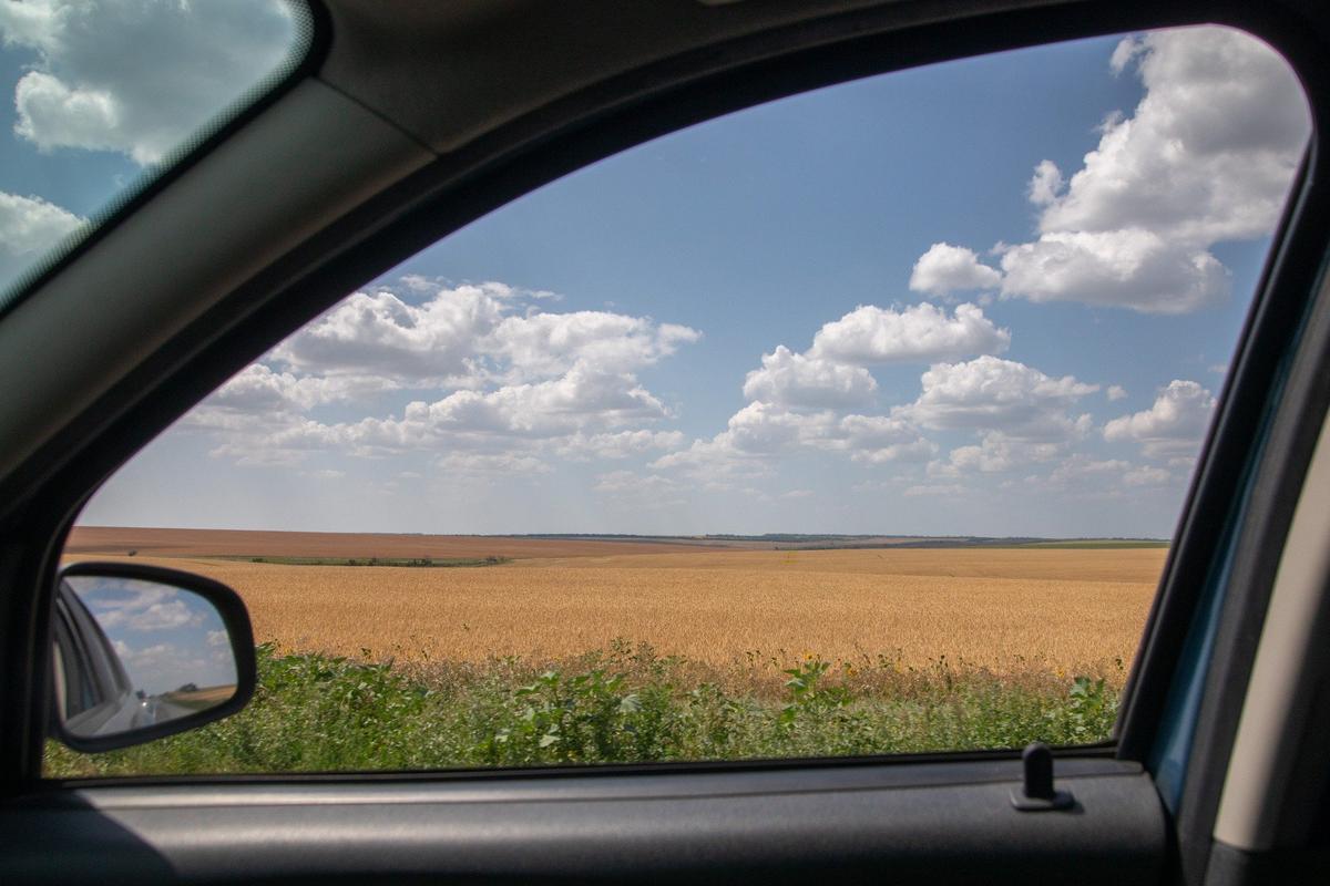Степь да степь кругом. Фото: Алексей Душутин / «Новая газета»