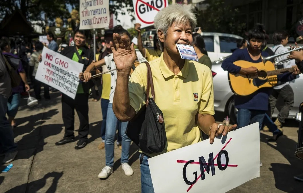 Протесты против ГМО во Вьетнаме. Фото: ТАСС