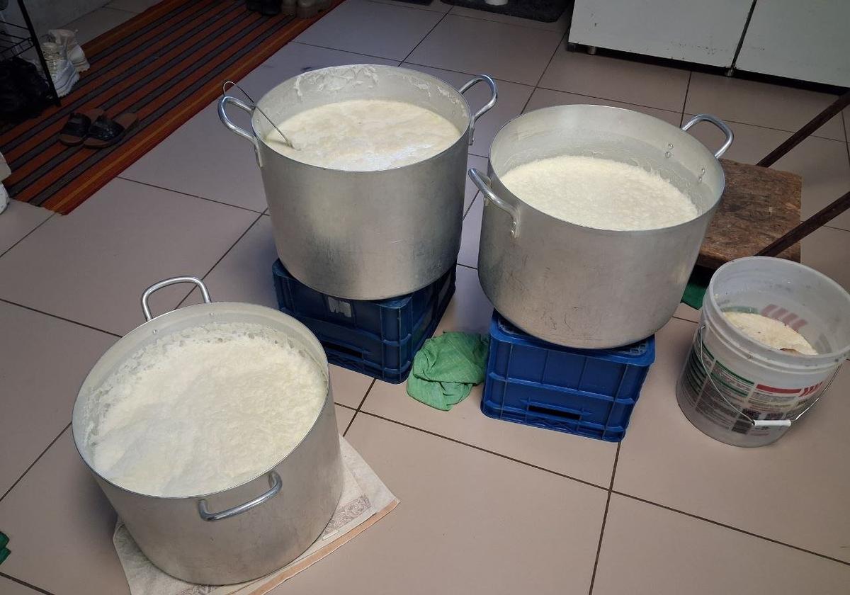 Раньше крестьян кормили творог, сыр, сметана, масло. Теперь кормят обещаниями мизерной компенсации. Фото: Игорь Стрельцов