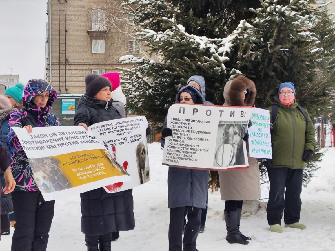 Митинг против законопроекта , который разрешает умерщвление животных без владельцев. Новосибирск. Фото: соцсети