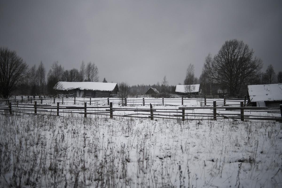 Деревня Юсино. Фото: Светлана Виданова / «Новая газета»