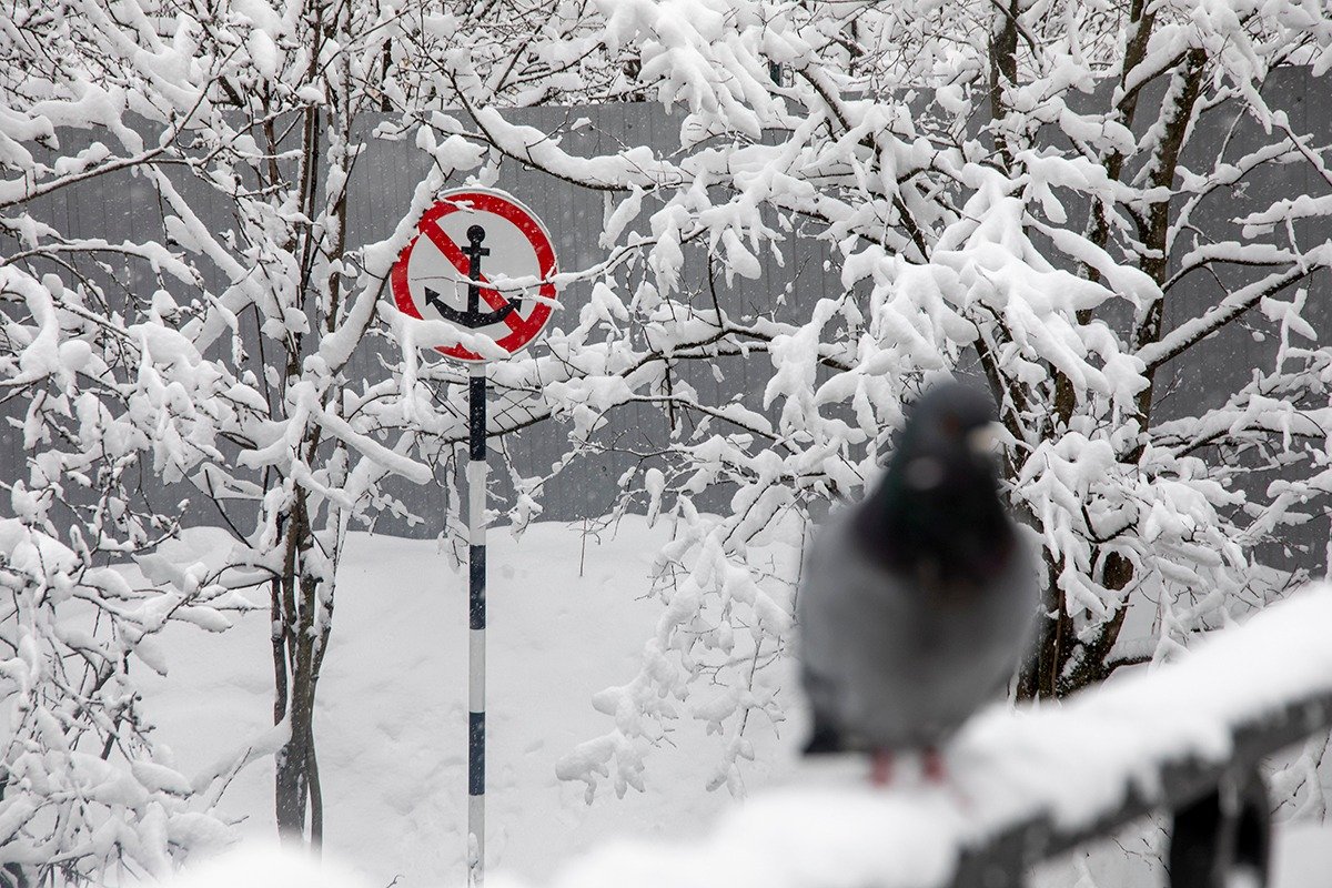 Фото: Алексей Душутин / «Новая газета»