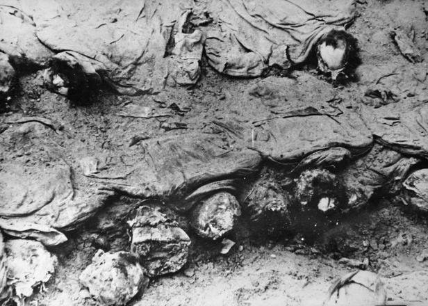 Катынь. Останки расстрелянных польских солдат. Фото: википедия