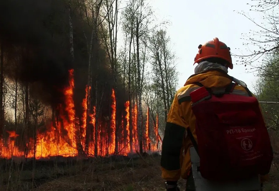 Forest fires in Yakutia. Photo: RIA Novosti