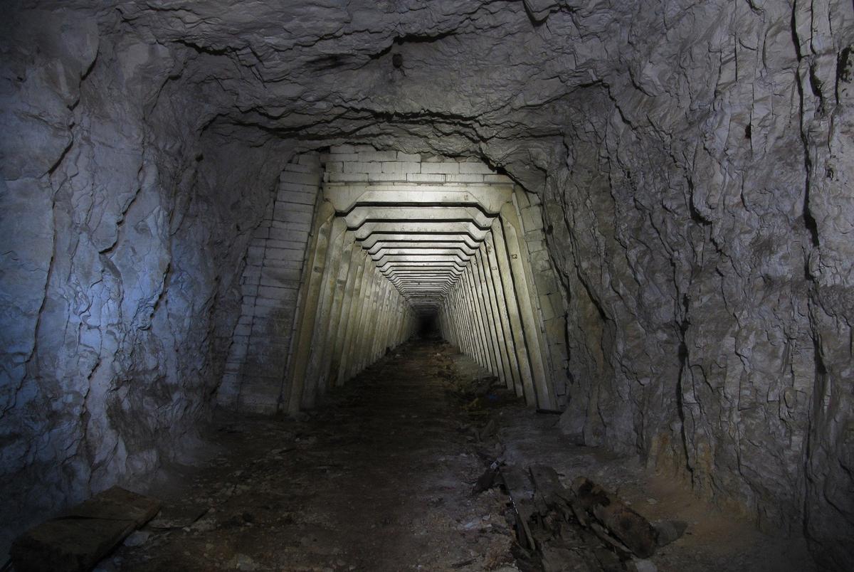 Фото: Википедия