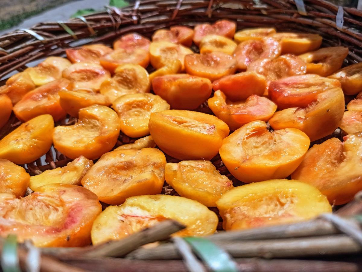 Фото: Евгения Енгибарян