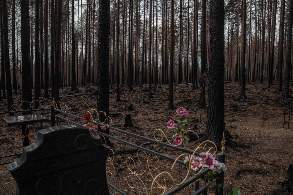 Кладбище в поселке Найстенъярви. Лесной пожар удалось потушить до крайних могил. Фото: Виктория Одиссонова / «Новая газета»