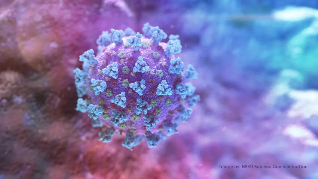 Молекула коронавируса, визуализированная американским НИИ NEXU. Фото: Reuters