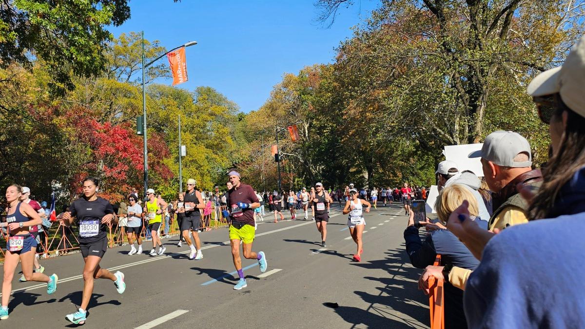 «Мы с сестрой договорились не разговаривать о политике»