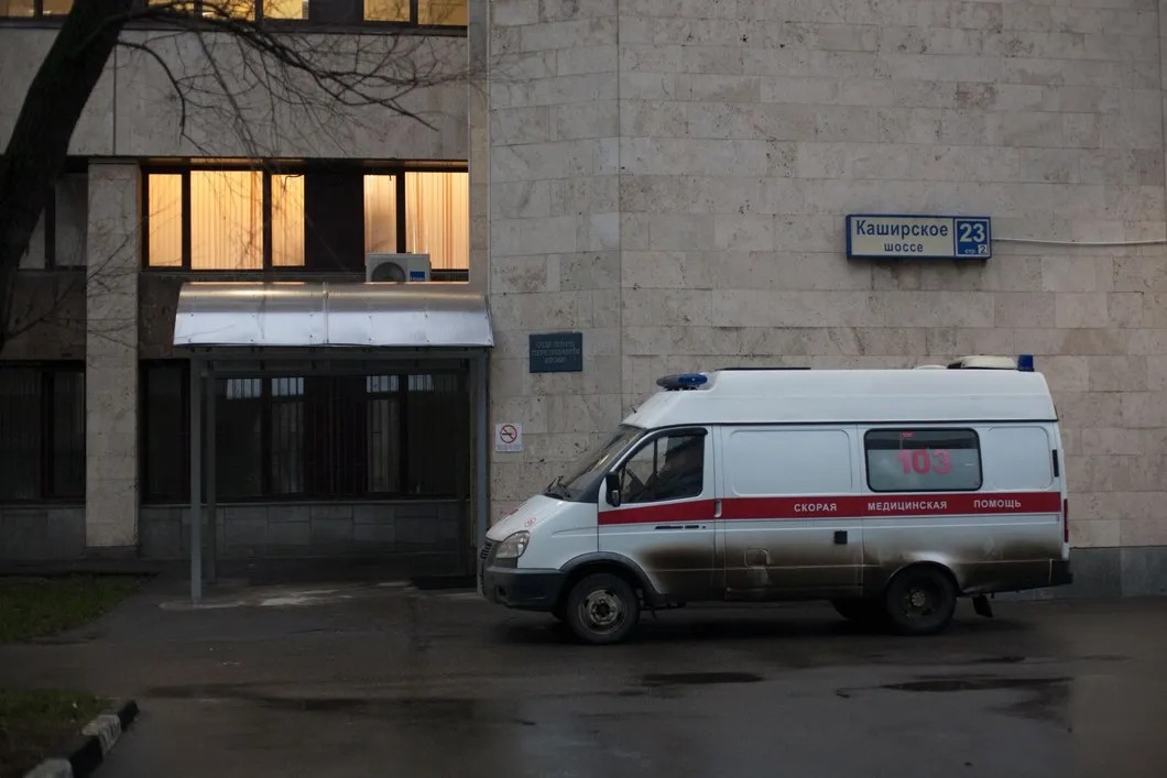 Фото: Светлана Виданова \ «Новая»