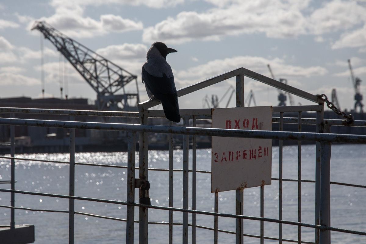 Фото: Алексей Душутин / «Новая газета»