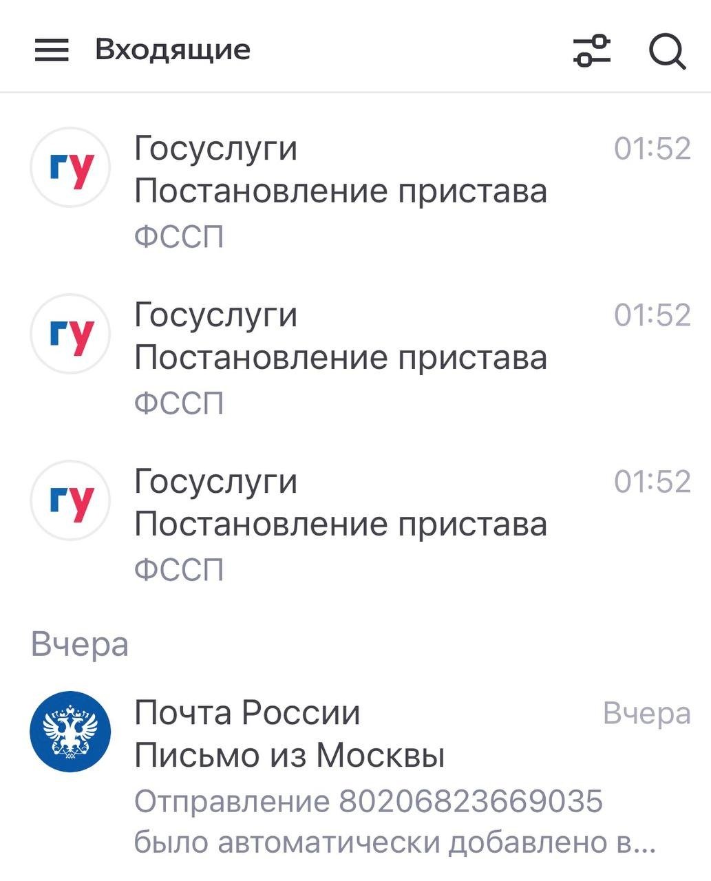 Скриншот из госуслуг, которые выложил Борис Надеждин в телеграм-канале