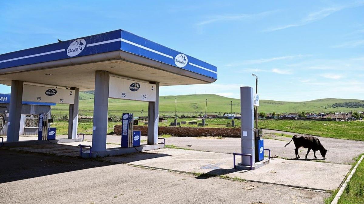 Лето пустых канистр