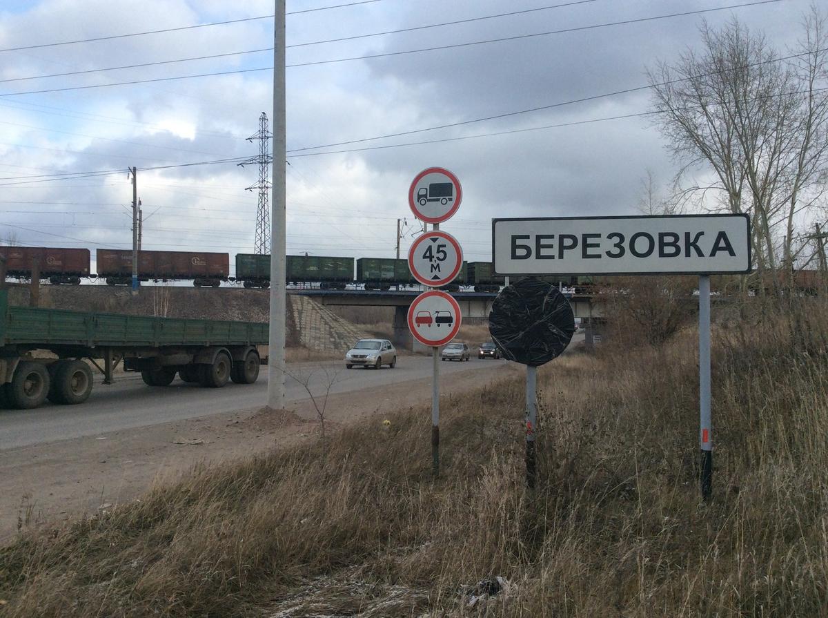 Березовка. Фото: Алексей Тарасов / «Новая газета»
