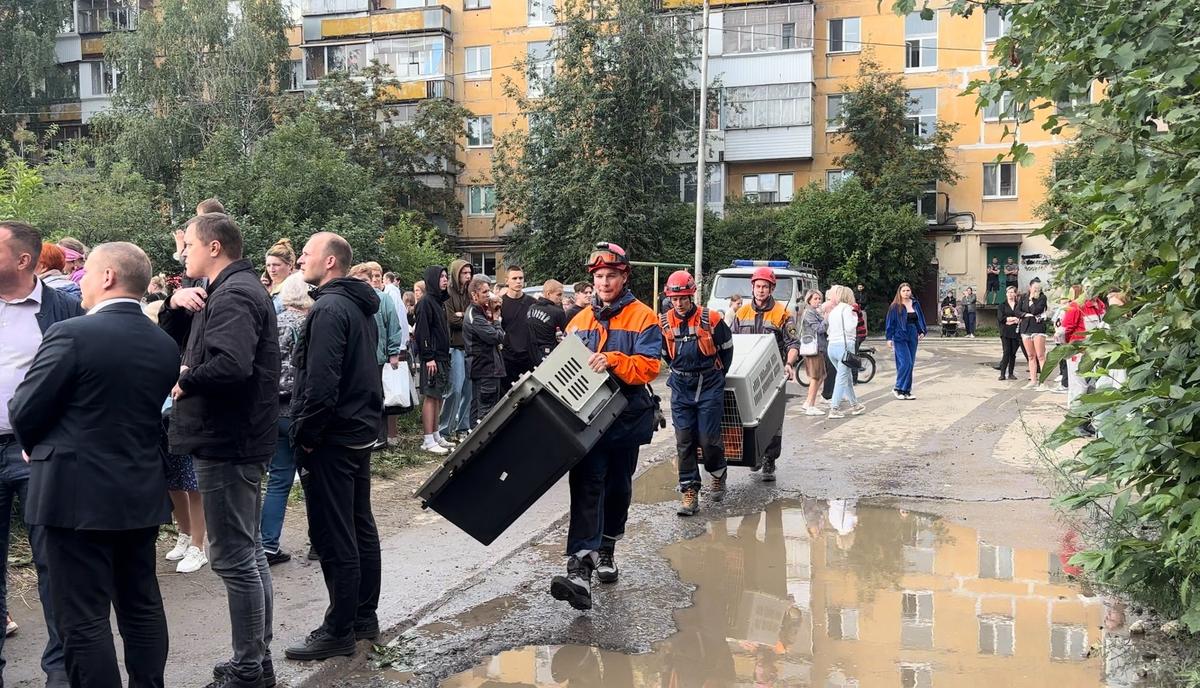 Сотрудники МЧС. Фото: Иван Жилин / «Новая газета»