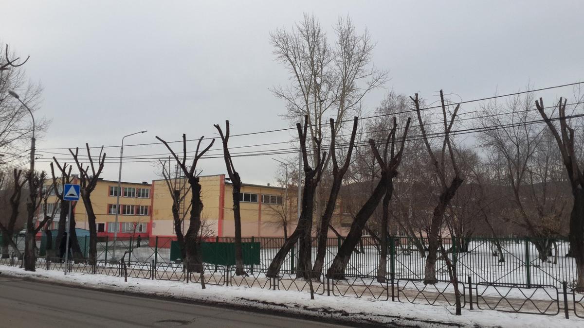 7 асноярск. Вид на одну из школ правого берега. Фото: Алексей Тарасов / «Новая газета»