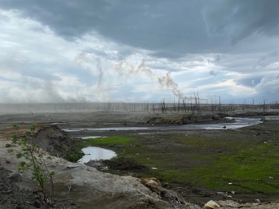 The ground by the Lebyazhie Tailings Storage Facility. Photo: Elena Kostyuchenko, Novaya Gazeta