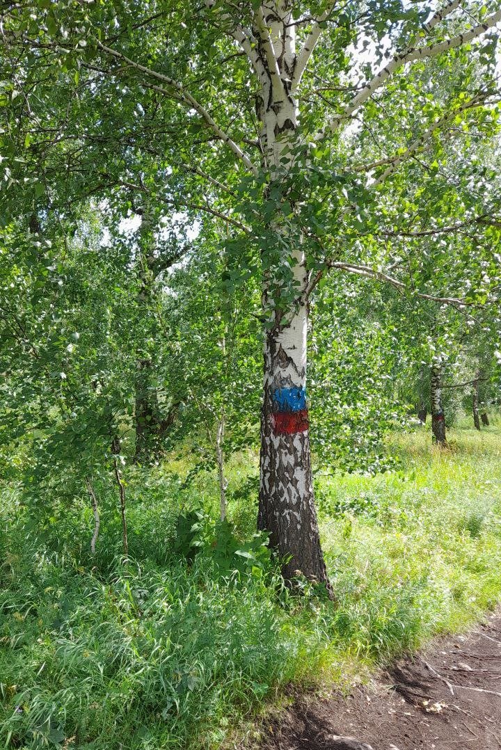 Красноярск. Возле скалы Арка. Фото: Николай Щербаков