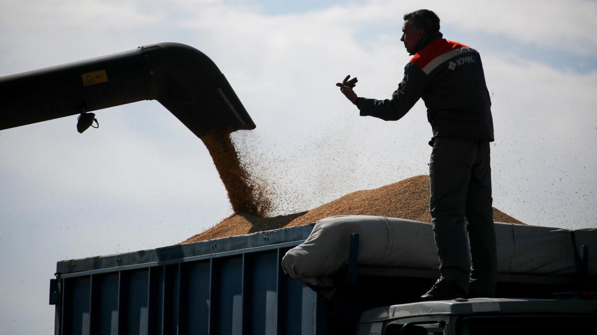 Чернов куст с созревшим плодом
