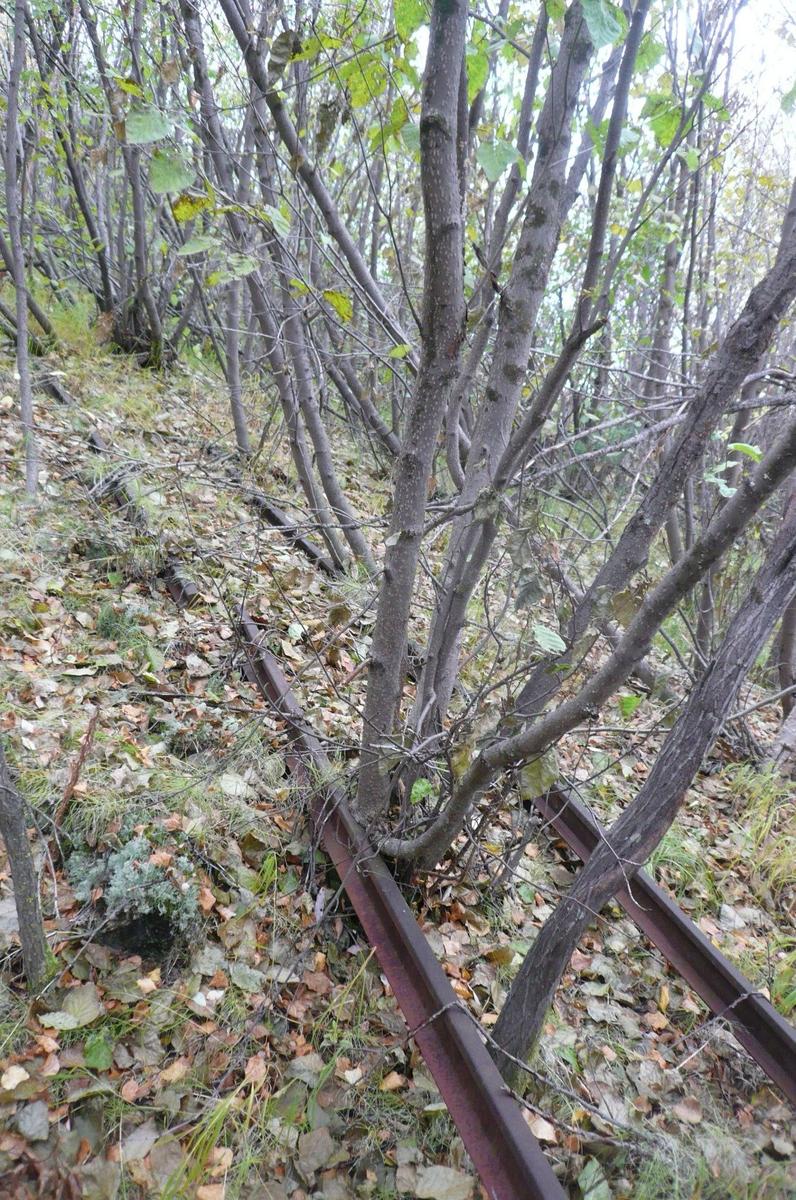 Ермаково. Останки трассы Салехард — Игарка. Экспедиция «Новой газеты», 2008 год. Фото: Алексей Тарасов / «Новая газета»