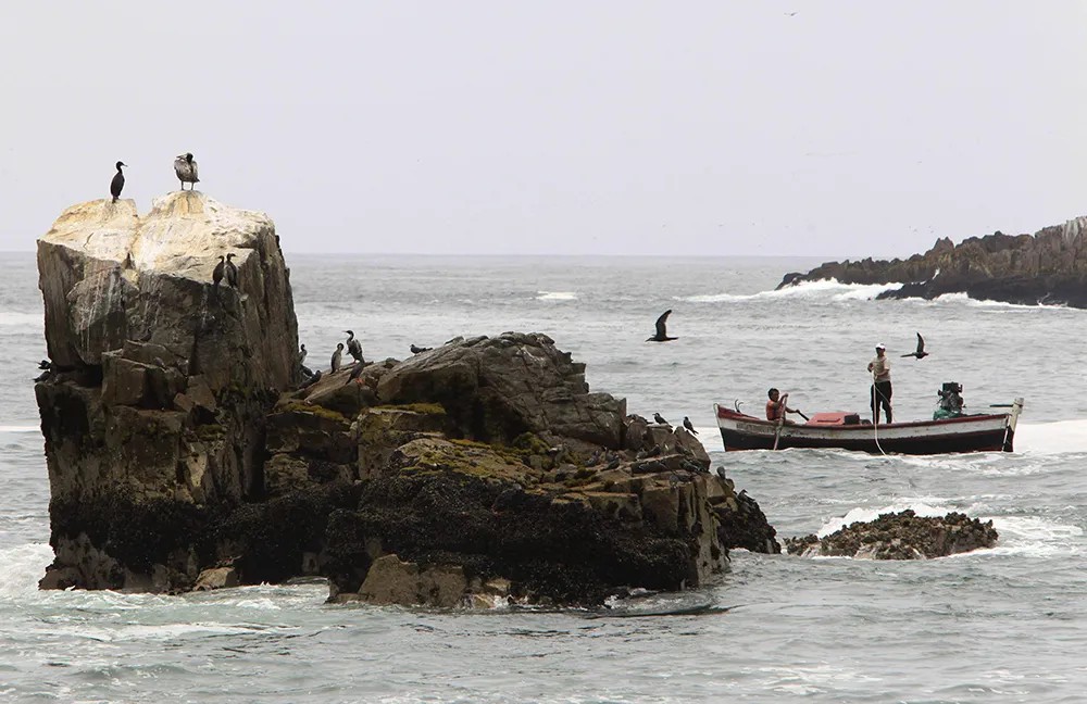 Рыбаки у берега острова Паломино. Фото: EPA-EFE