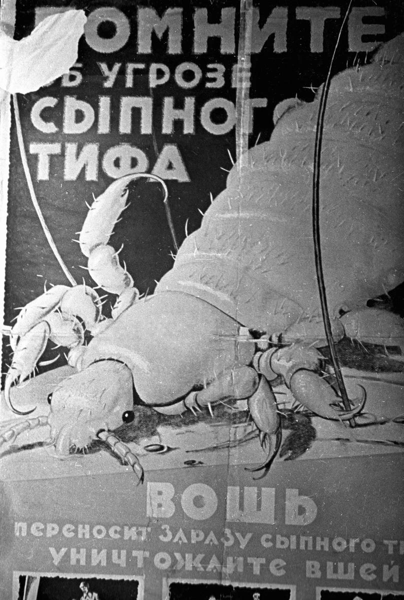 Плакат «Помните об угрозе сыпного тифа. Вошь переносит заразу. Уничтожайте вшей!» работы художника Дени. Фото: РИА Новости