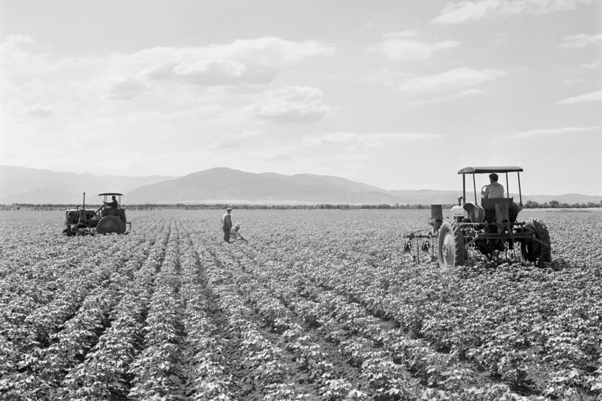 Сельскохозяйственные работы. Фото: Фотохроника ТАСС