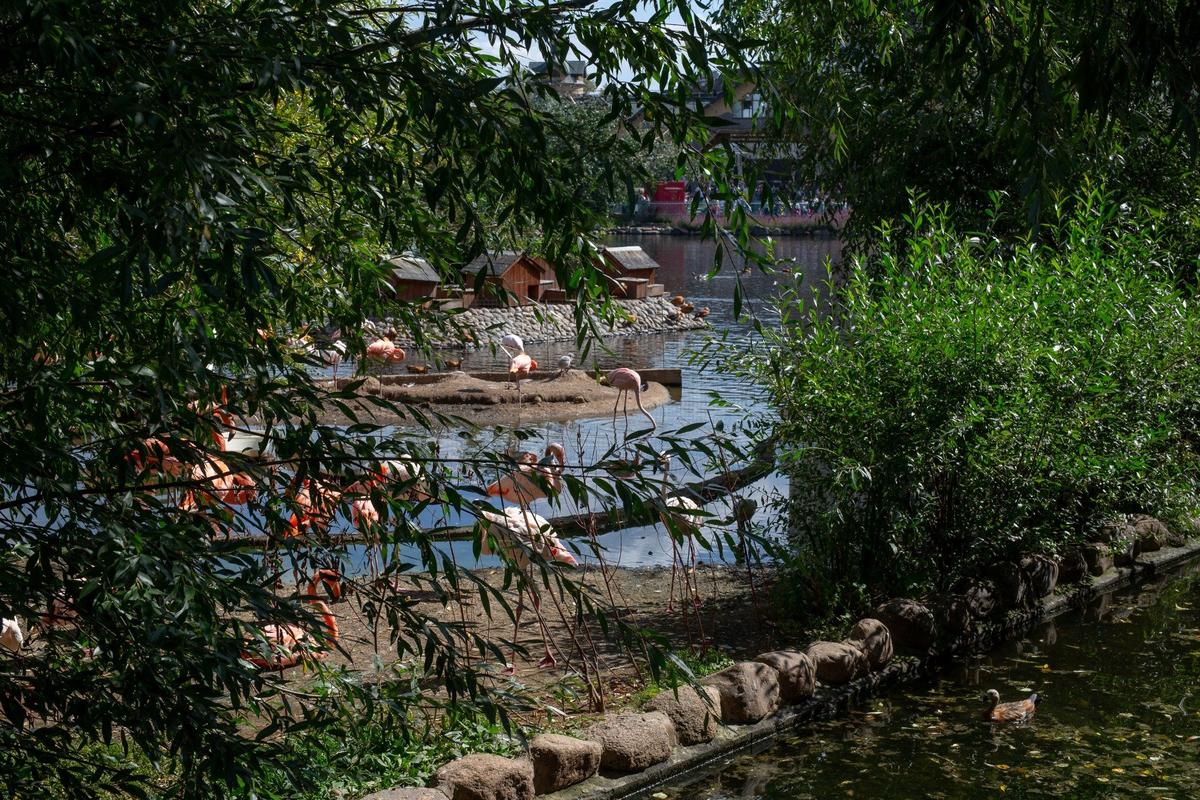 Фото: Алексей Душутин / «Новая газета»