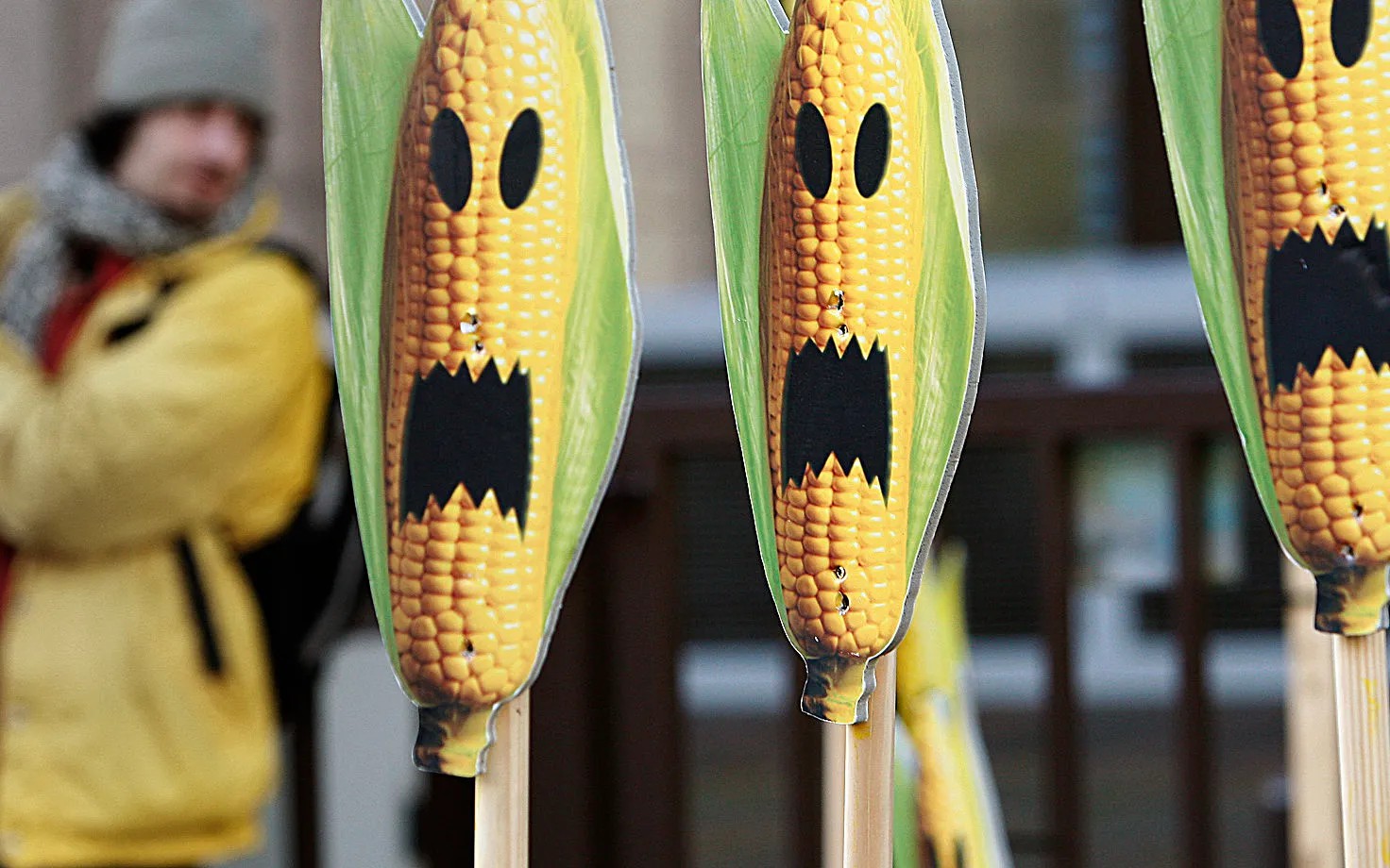 Остановить прогресс: краткая история отечественной борьбы с ГМО