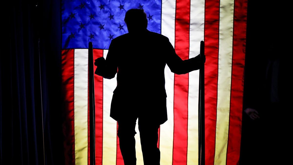 Доктрина с одним полушарием