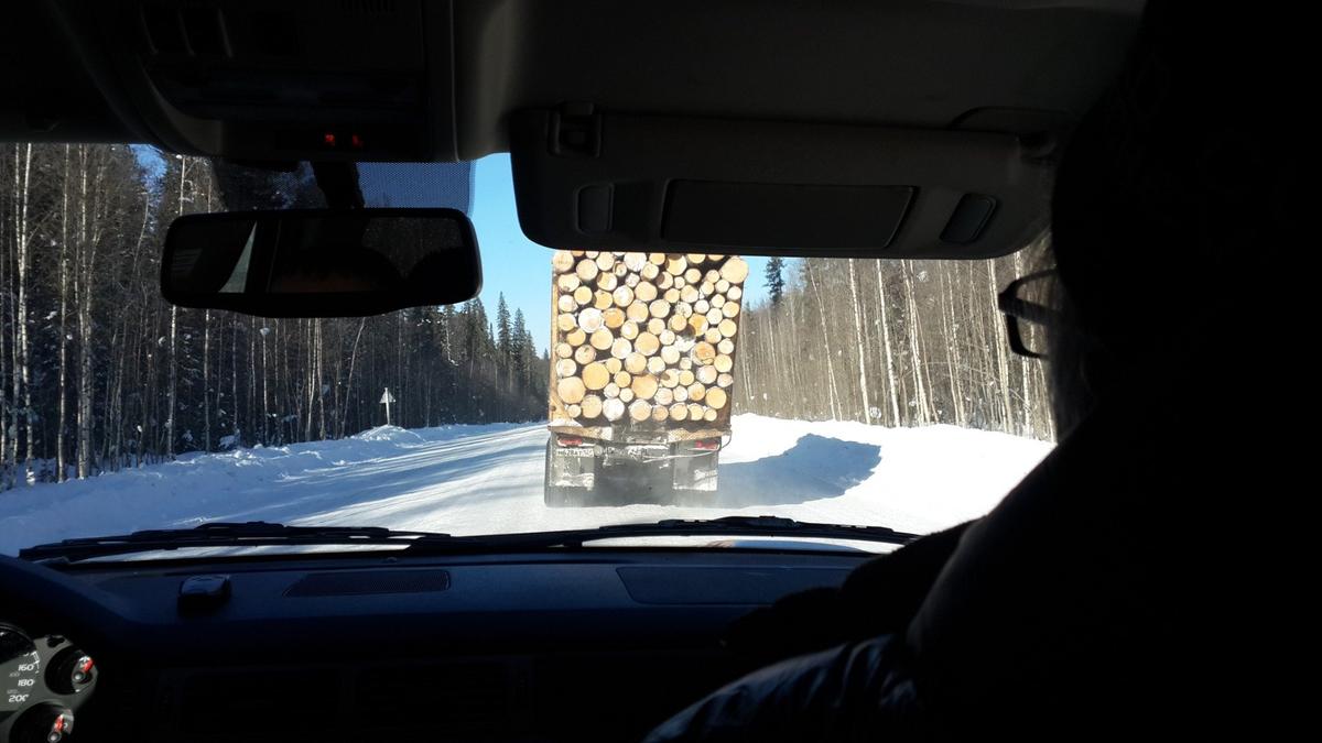 Золотое дерьмо