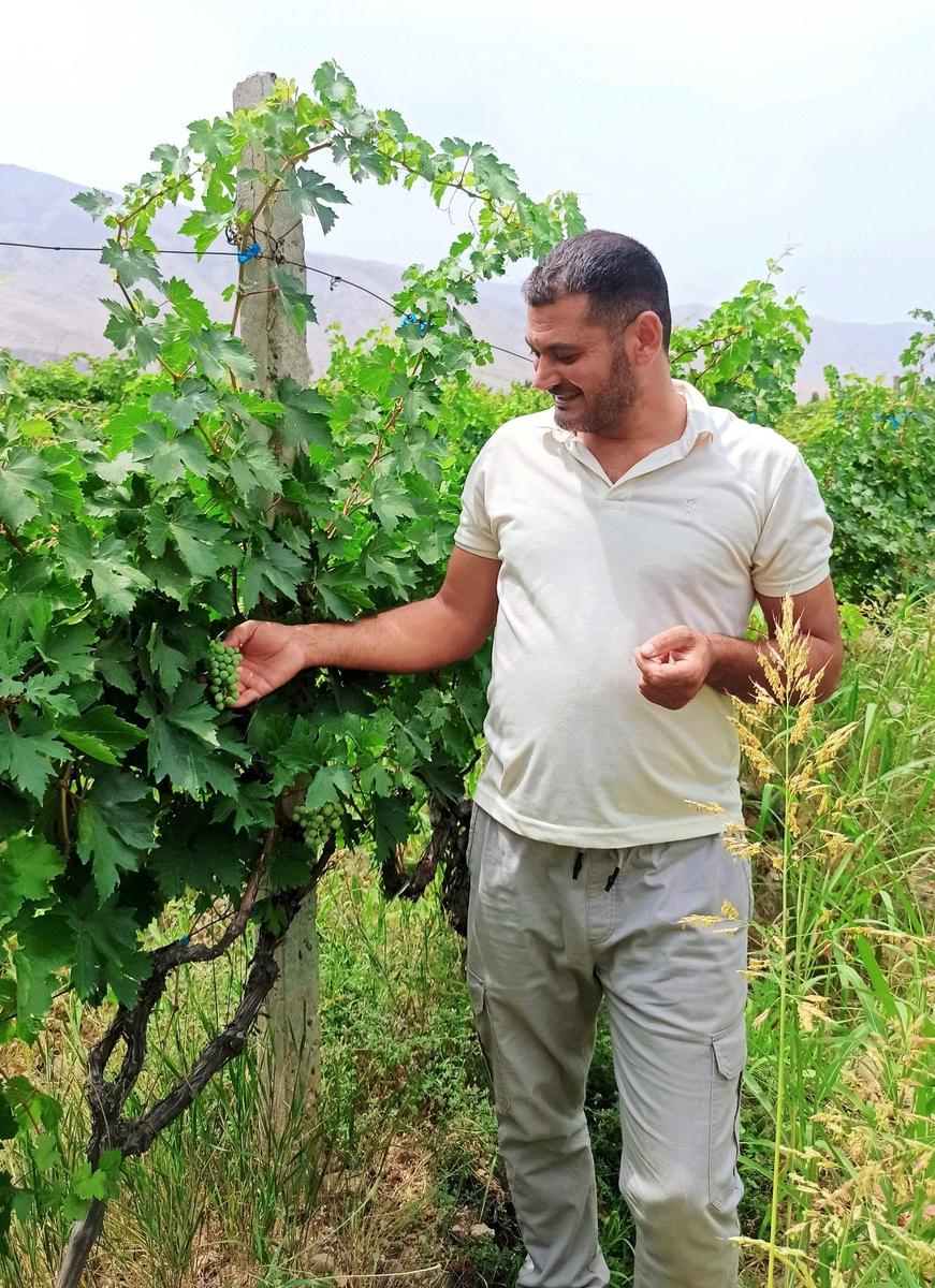 Винодел Абел Акопян на своем винограднике, с. Агавнадзор. Фото: Евгения Енгибарян