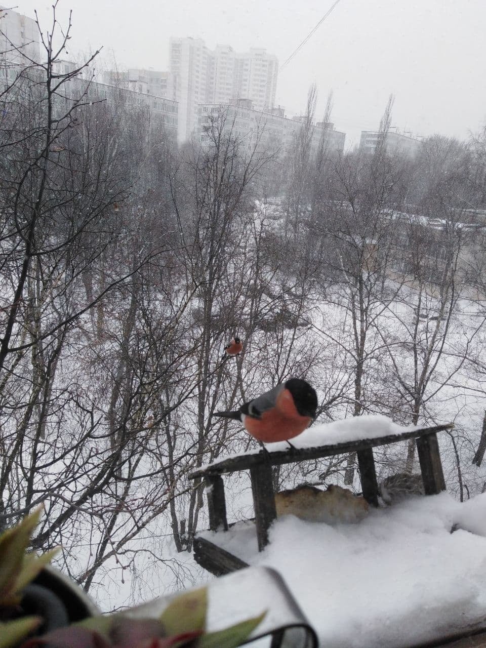 Фото: Татьяна Плотникова / «Новая газета»