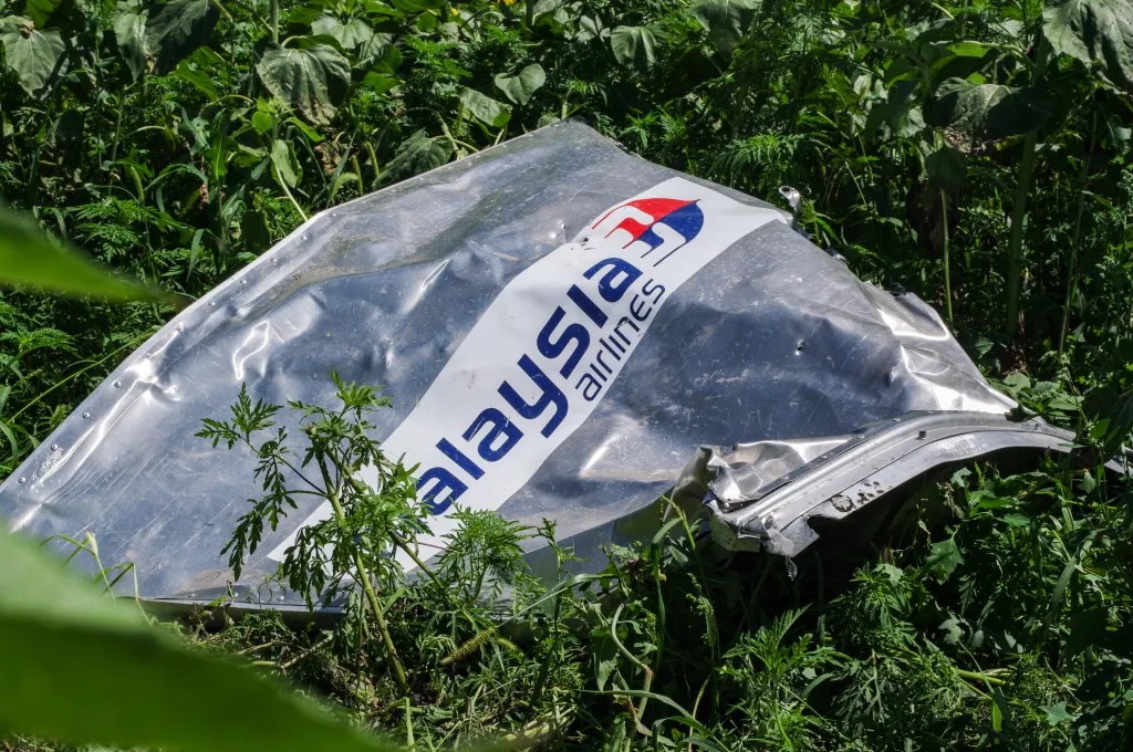 Место падения самолета рейса МН17 «Малайзийских авиалиний». Фото: Игорь Бурдыга, Ґрати