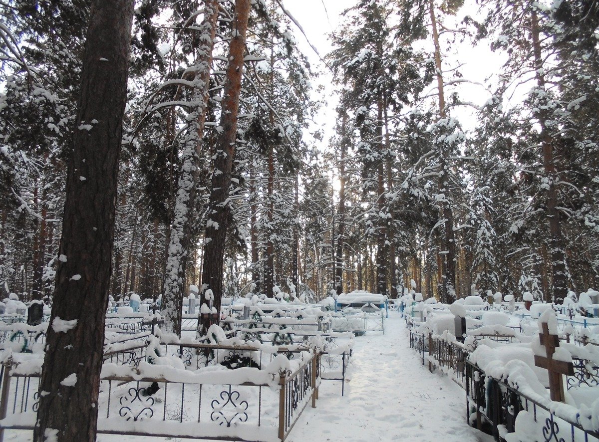 Курган, кладбище, январь 2016 года. Фото: Алексей Тарасов / «Новая газета»