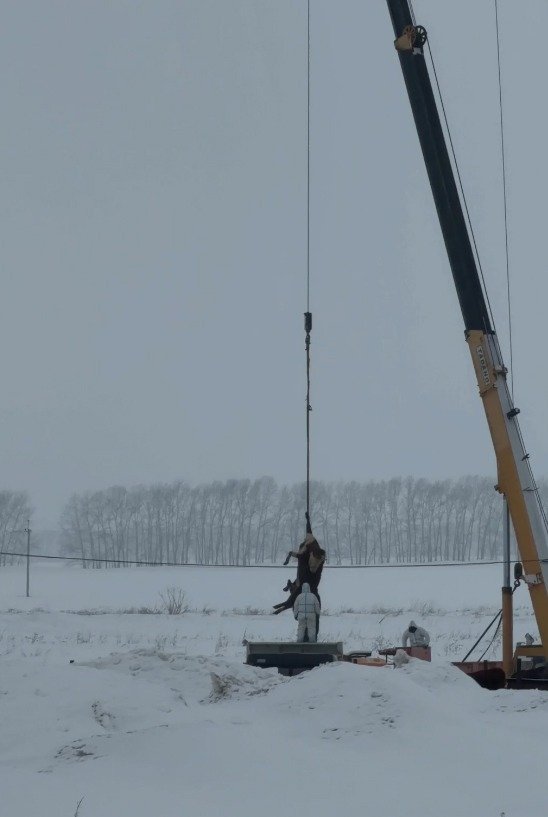 Уничтожение скота в хозяйстве «Водолей»: туши убитых коров с помощью крана грузили в машину и везли на сжигание. Фото: Игорь Стрельцов