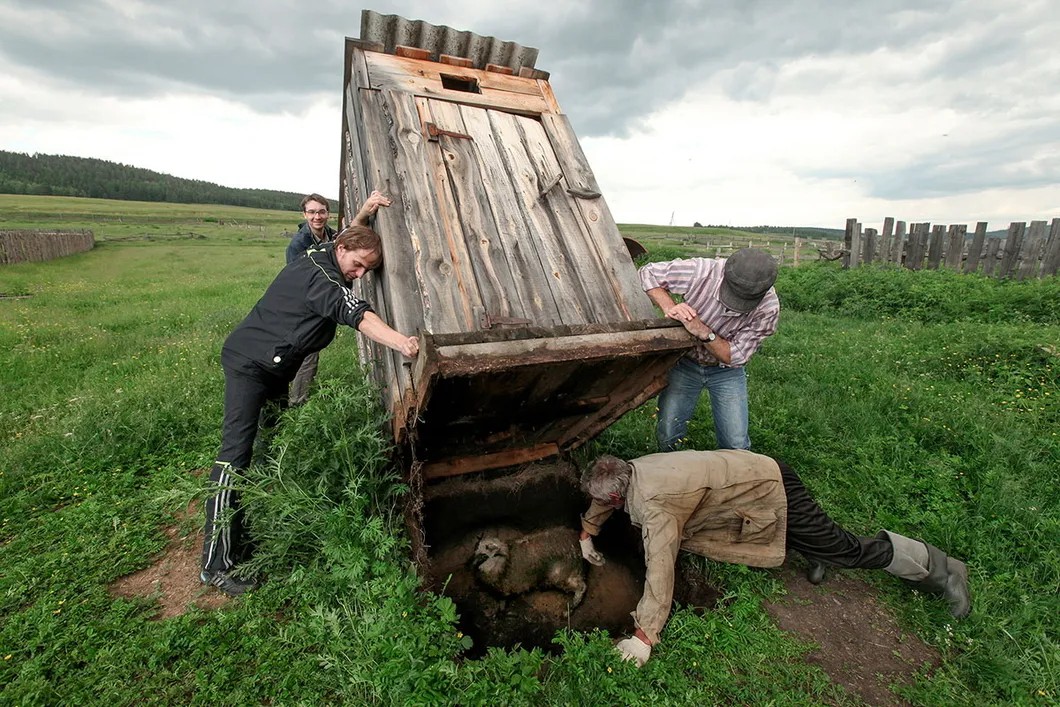 Жители села Куртун Иркутской области спасают упавшую в деревенский туалет овцу. Фото Алексей Головщиков