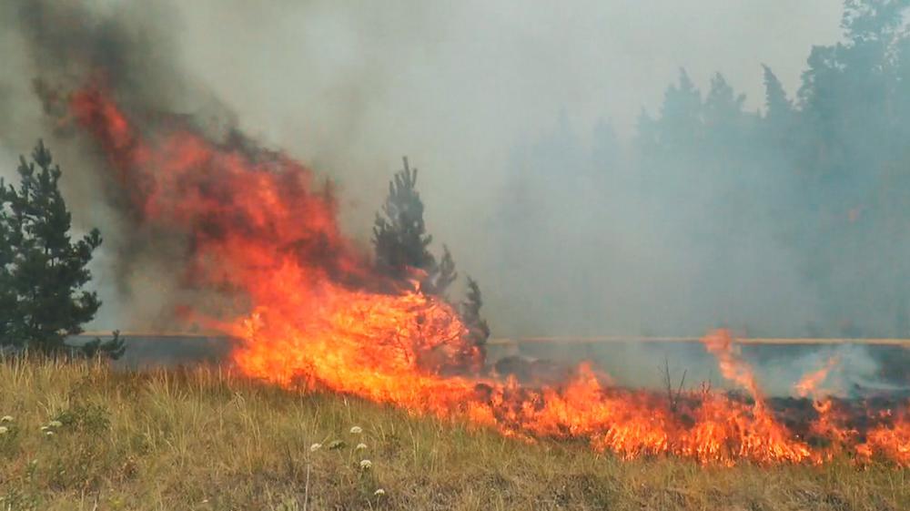 Пожар в Челябинской области уничтожает села