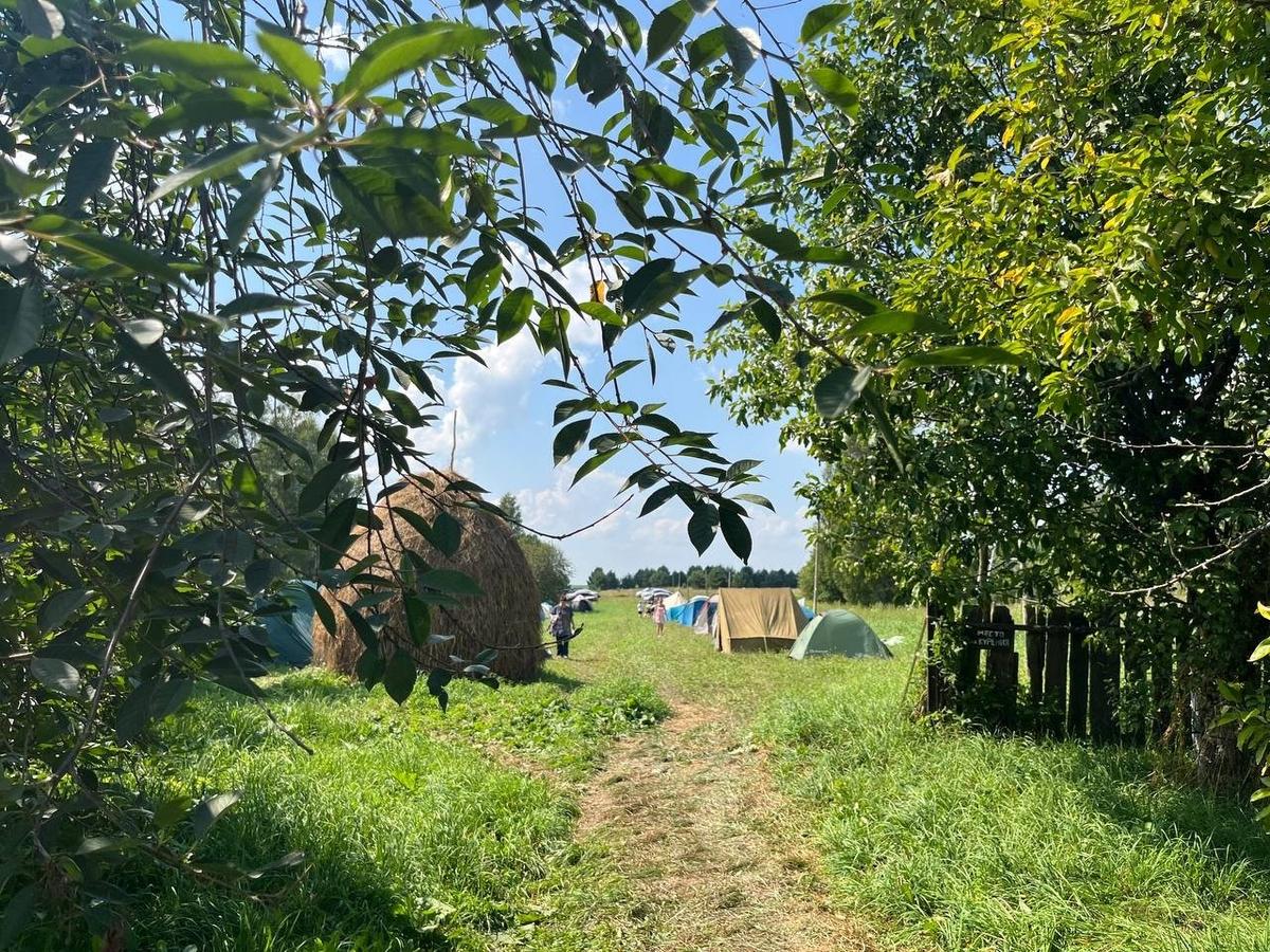 Фото: Елена Панфилова / «Новая газета»