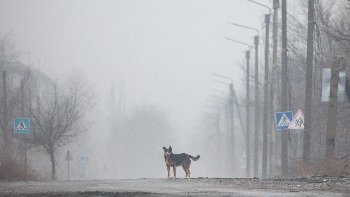 Думали туман