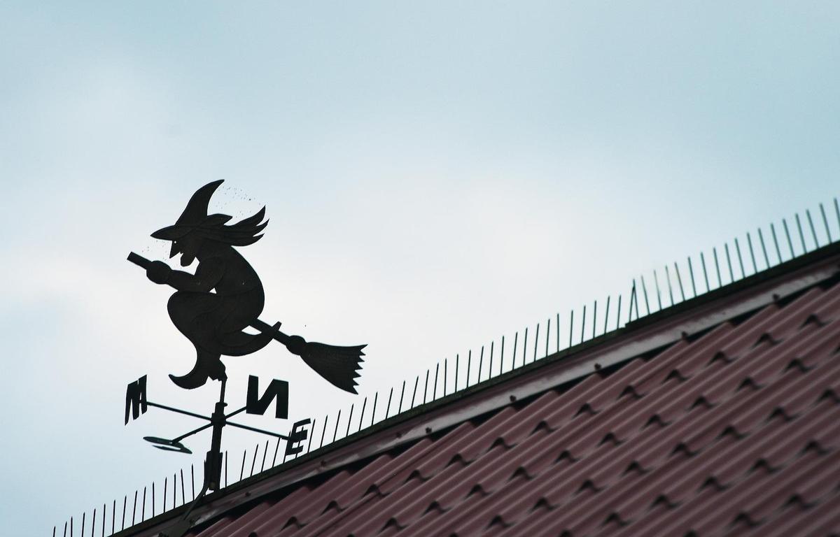 Фото: Эмин Джафаров / Коммерсантъ