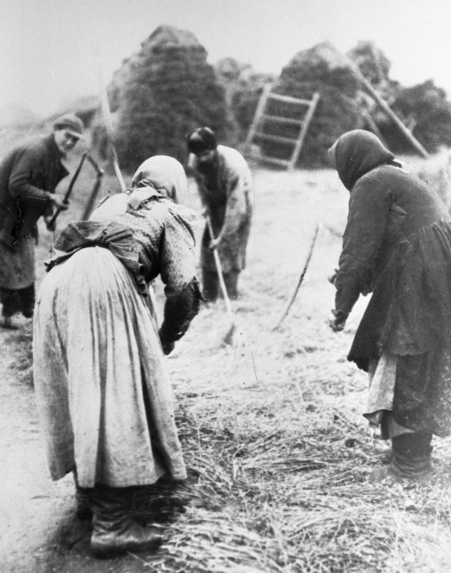 Деревенский женщины молотят цепами хлеб. Архив РИА Новости