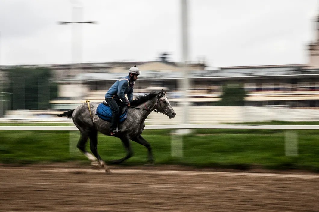 В первой половине дня конюхи обкатывают лошадей на дорожках ипподрома. Фото: Владислав Докшин / «Новая газета»