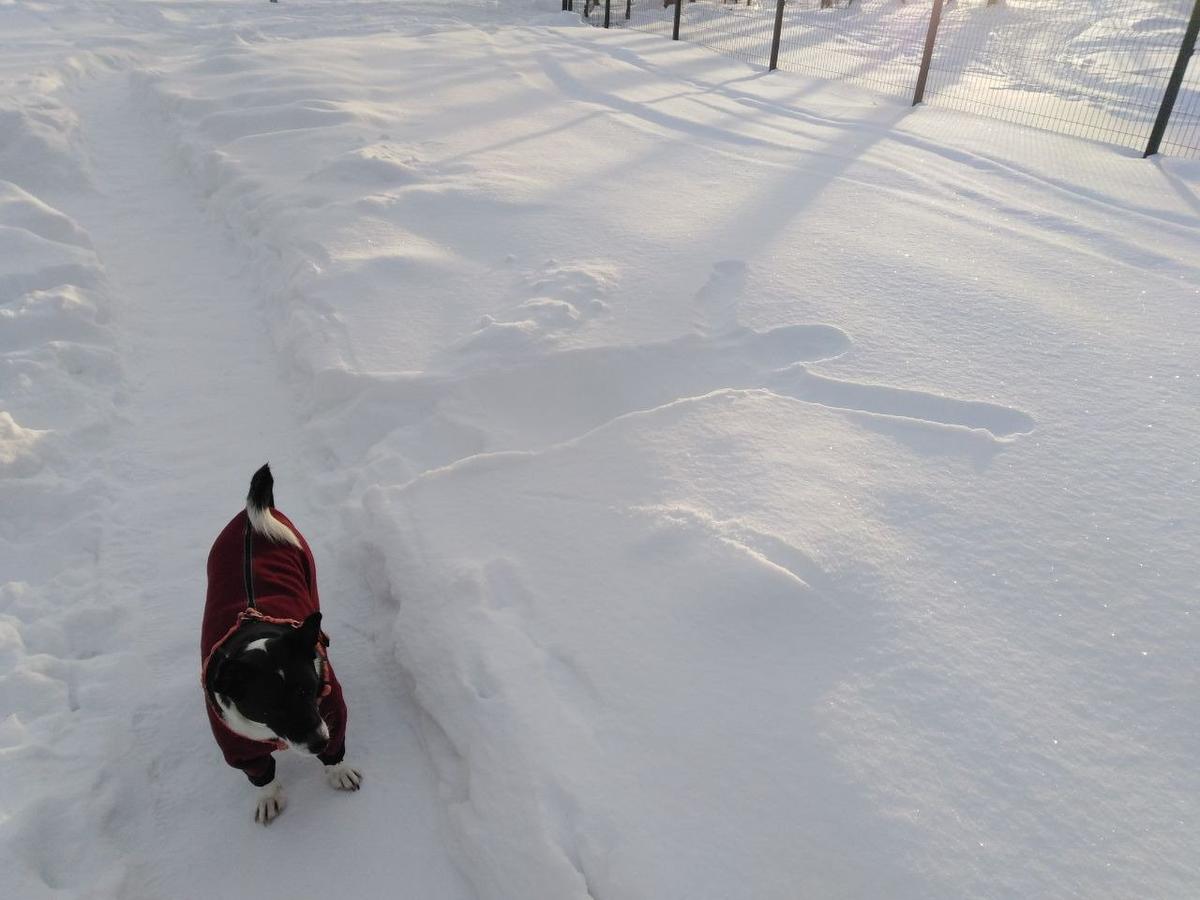 Фото: Татьяна Плотникова / «Новая газета»